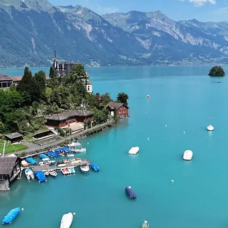 Daire Nest Above The