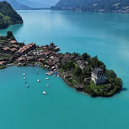 Daire Nest Above The