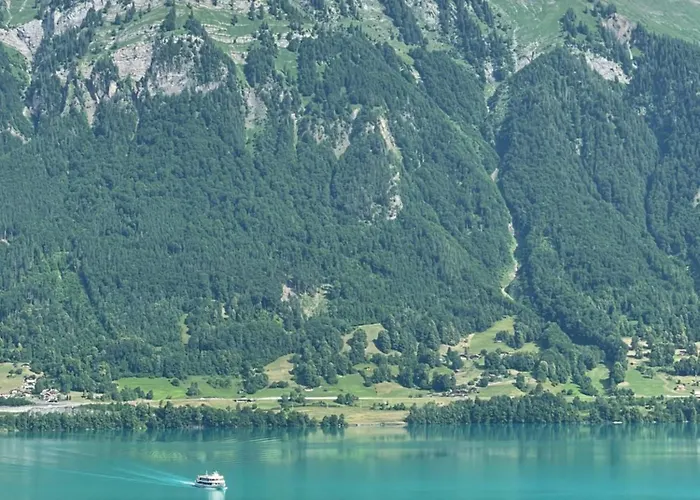 Nest Above The 伊瑟尔特瓦尔德